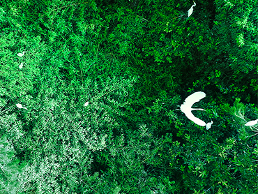 “宛如一幅畫卷”，走進(jìn)園林級產(chǎn)業(yè)園——圣澳威斯